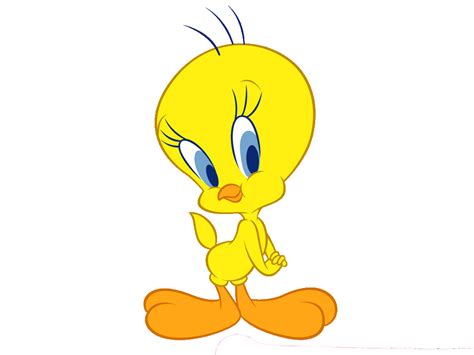 Collection Of Png Tweety Pluspng