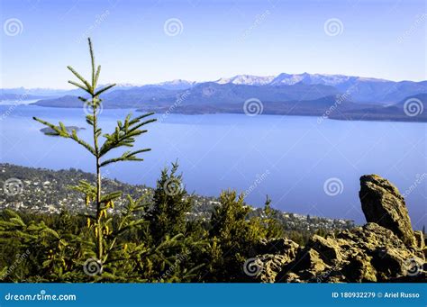Mountain Landscape With Pine Trees In Bariloche Stock Image Image Of