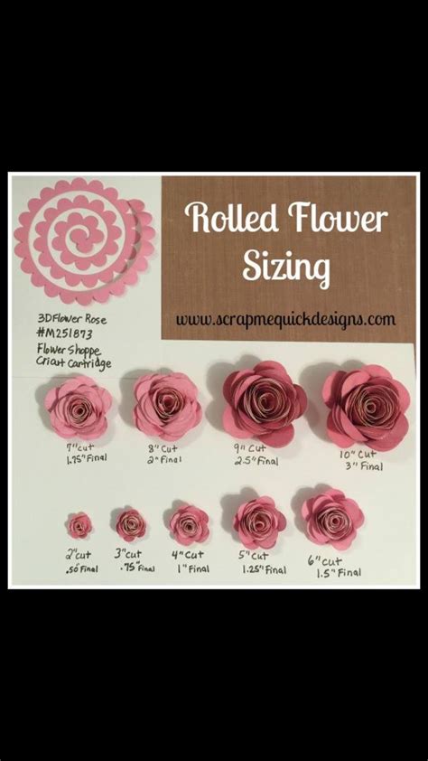 Cricut Rolled Flower Sizing Flower Shadow Box Paper Flowers Rolled