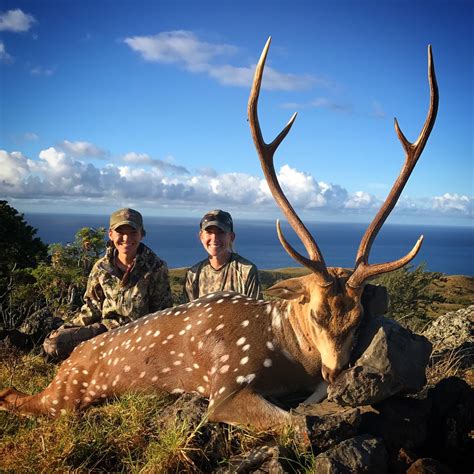How To Axis Deer Hunting In Hawaii