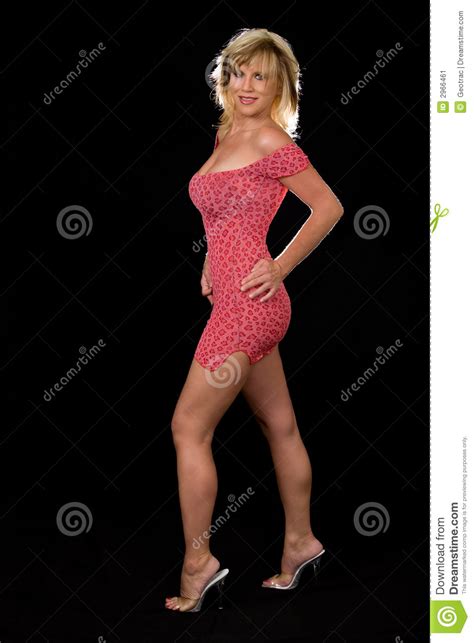 Short Dress Stock Image Image Of Clothing Mature Happy