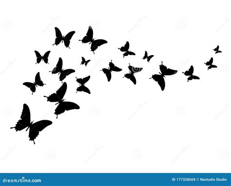 Set Of Butterflies Silhouette Outline And Painted Cartoon Vector