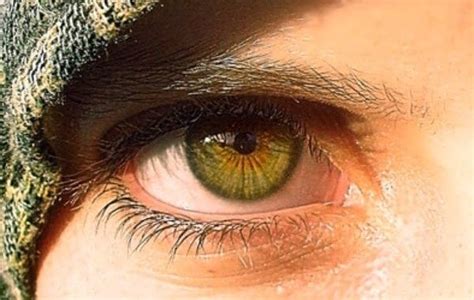25 Amazing Facts About Green Eyes Guy Counseling