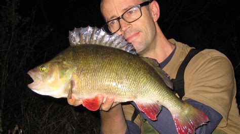 big perch fishing | tactics and methods on rivers and stillwaters