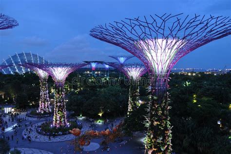 Night Scene Gardens By The Bay Supertrees Singapore Stock Photo Image
