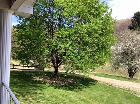 Goes through natural drying processes that refrain from the usage of any chemical additives or other artificial processes. Maple tree and crab apple tree in Greene County, Pa ...