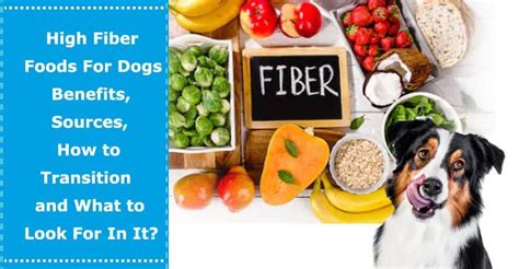 Maybe you would like to learn more about one of these? Pin on Dog Food