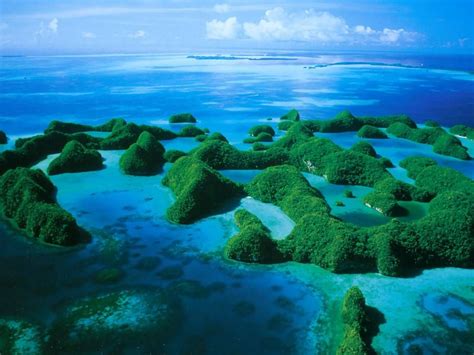 The Rock Islands Of Palau Palau Pemandangan Kepulauan