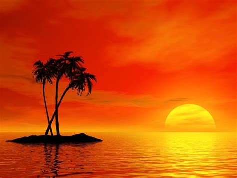 Nice Tropical Palms Sunset | Tree sunset wallpaper, Sunset wallpaper ...