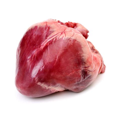 Royalty Free Pig Heart Pictures Images And Stock Photos Istock