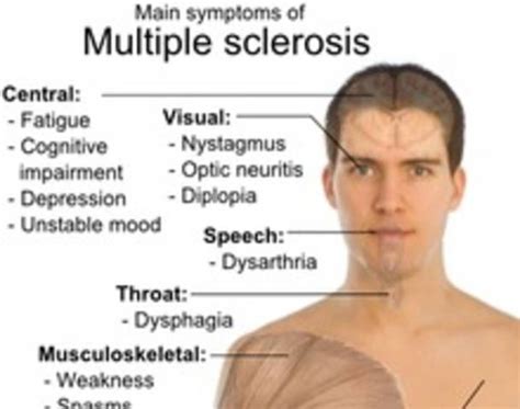 Ms confuses the body's immune system, causing it to attack the cns, and create damaging lesions on the brain and spinal cord that prevent the nerve cells from communicating with the body as they should. My "Journey" with life, Multiple Sclerosis & Fibromyalgia ...