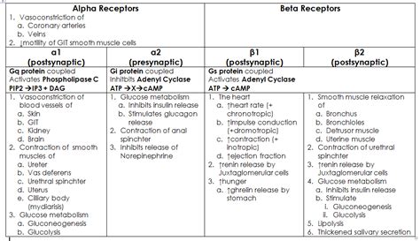 Adrenergic Receptors Pharmacology Nursing Adrenergic Receptors