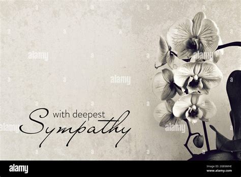 Deepest Sympathy Card Hi Res Stock Photography And Images Alamy