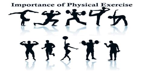 Importance Of Physical Exercise Msrblog
