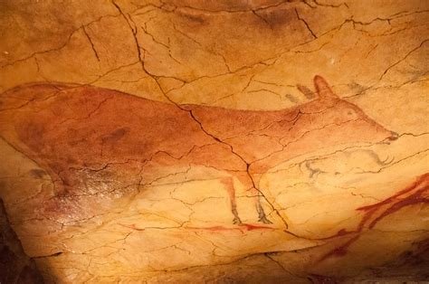 6 Spannende Fakten Zu Den Wandmalereien In Der Höhle Von Altamira