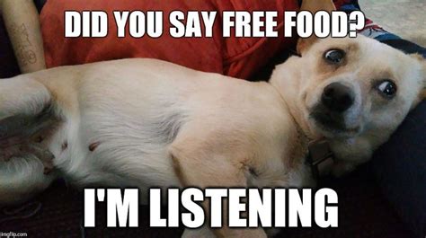Pin By Philosophy On El Panchi Funny Food Memes Food Memes Dog Memes