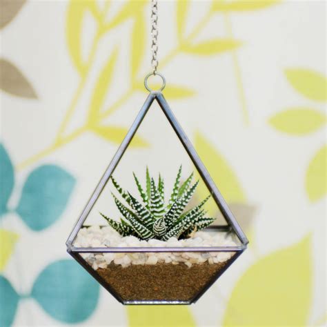 Mini Geometric Glass Vase Succulent Terrarium Kit By Dingading