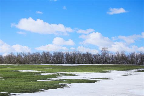 Snow Melt In The Early Spring Stock Image Image Of Horizon Landscape