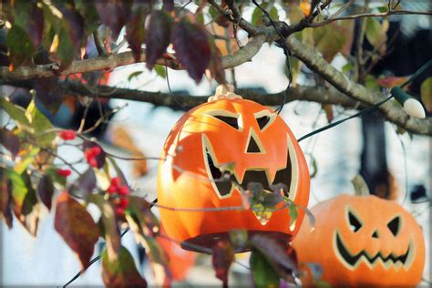 The Halloween Tree Lighthearted Halloween 2017 | Ted halloween ...