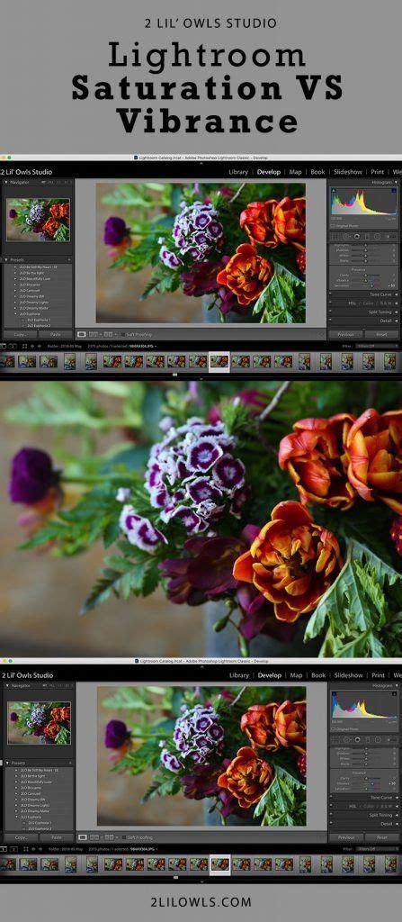 In This Video I Am Going To Go Over The Difference Between Saturation And Vibrance In Lightroom