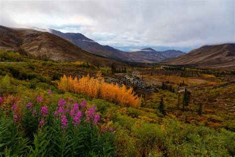 Yukon Nature Scenery With Grass Stock Image Image Of Dramatic
