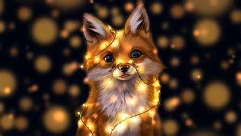 Super Cute Fox In Lights Live Windows Desktop Live Desktop Wallpapers
