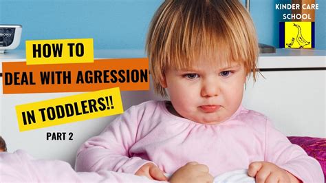 How To Deal With Aggression In Toddlers Part 2 Youtube