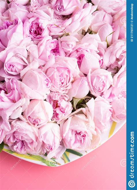 Pink Fresh Roses Around Pink Background Romantic And Wedding Concept