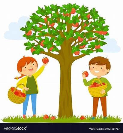 Picking Apple Clipart Apples Tree Vectorstock Clipground