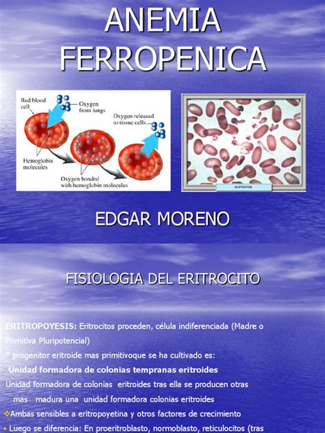 Anemia Ferropenica Pdf Glóbulo Rojo Anatomía