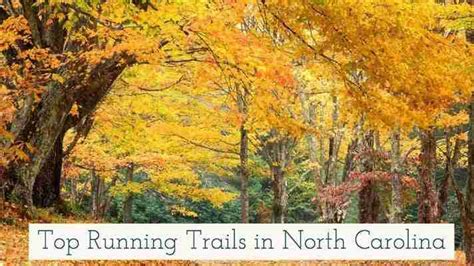 Top Running Trails In North Carolina