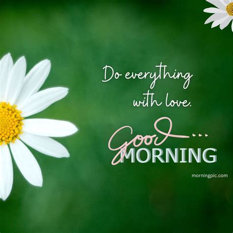 Collection Of Amazing 4k Good Morning Images With Quotes Over 999 Images