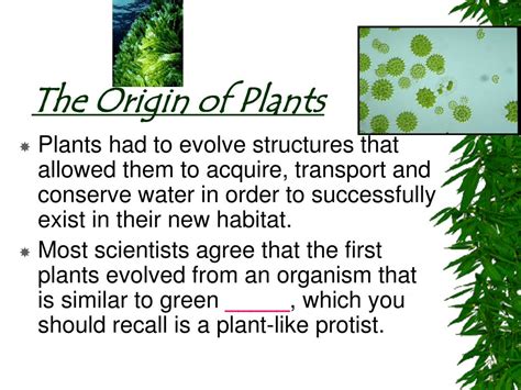 Ppt Plant Notes Part 1 Powerpoint Presentation Free Download Id
