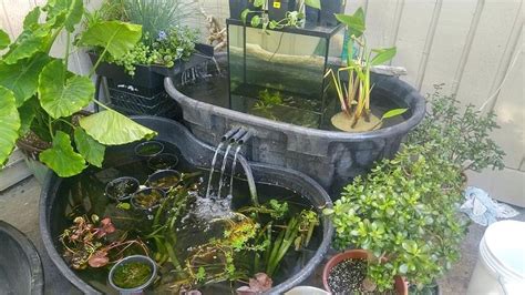 13 How To Make A Tiny Garden Pond 