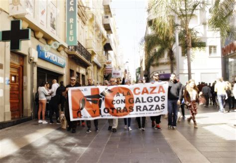 Manifestación No A La Caza En Santa Cruz De Tenerife