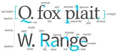 Anatomy Of A Typeface Betterulsd