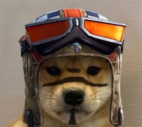 Ranegade Raider Dog Dog Icon Gamer Pics Raiders Wallpaper