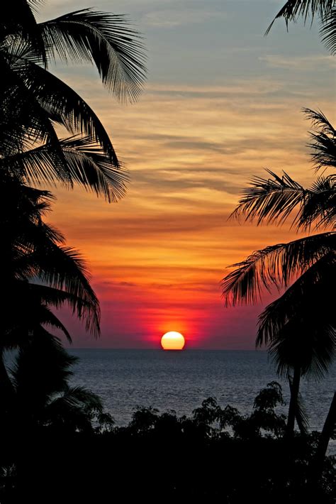 Palm Tree Beach Sunset Wallpaper 4k Sky Sea Tropics Sunset Palm Tree
