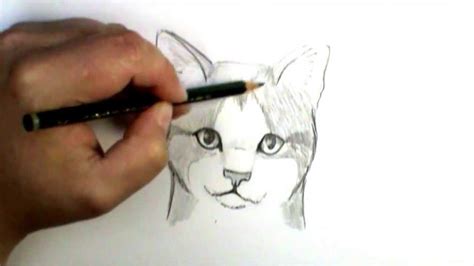 How To Draw A Cat Face Teaching Self Painting Easiest Kênh Nhạc Ru