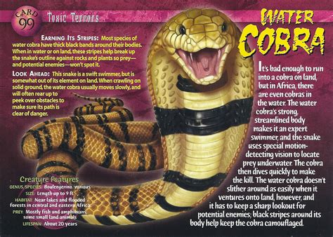 Water Cobra Weird N Wild Creatures Wiki Fandom