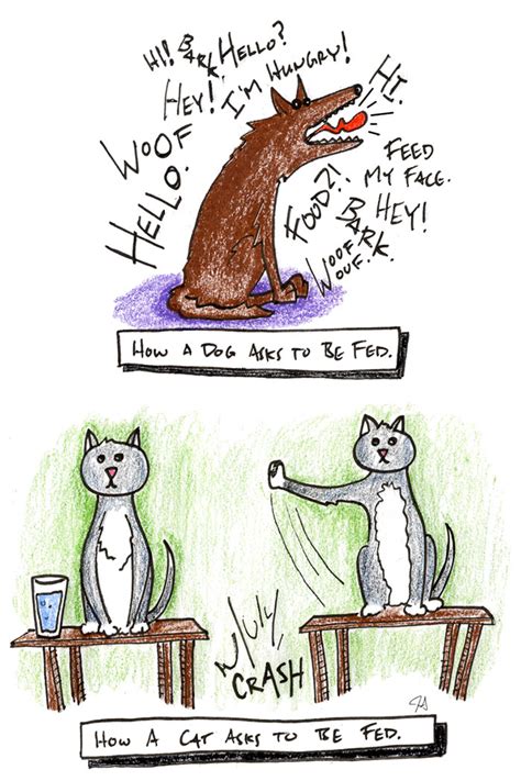 Funny Comics Illustrate The Differences Between Cats And Dogs Part 1
