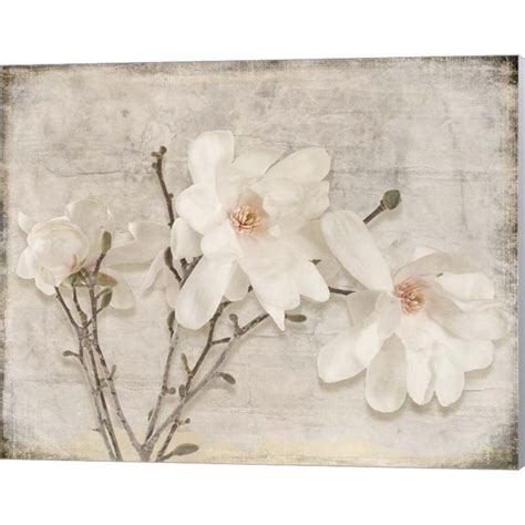 Spring Magnolia By Lightboxjournal Canvas Wall Art 20w X 16h