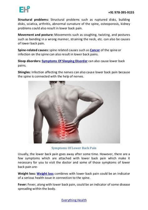 The Causes Of Lower Back Pain And It