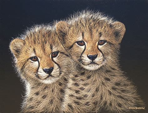 A Closer Look At 6 Of South Africas Incredible Wildlife Artists