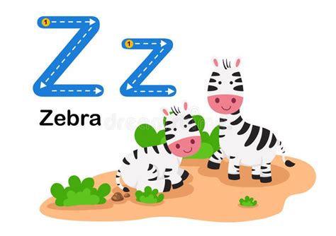 Alphabet Letter Z Zebra With Cartoon Vocabulary Illustration Stock