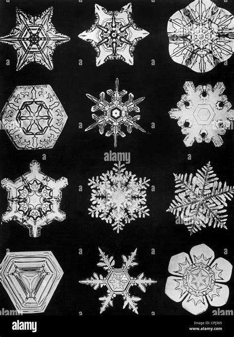 Ice Crystals 1942 Stock Photo Alamy