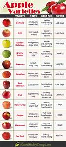 Apple Variety Guide Cheat Sheet Cooking