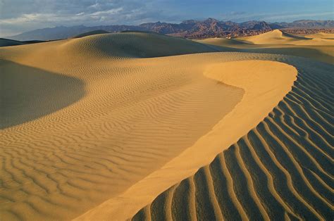 Death Valley Sand Dunes Mesquite Flats Photograph By Dean