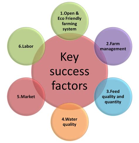 Key Success Factors Examples