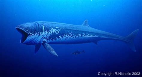 This will give you a creature that has a random level. Leedsichthys - Alchetron, The Free Social Encyclopedia